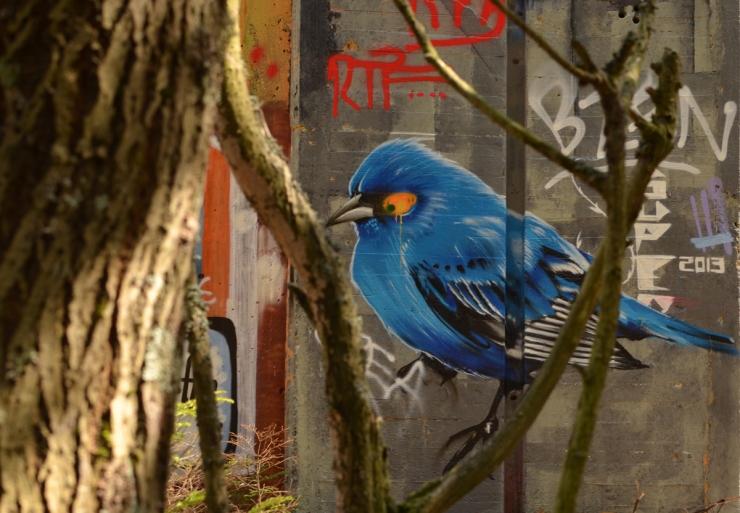 Blue Bird in the tree